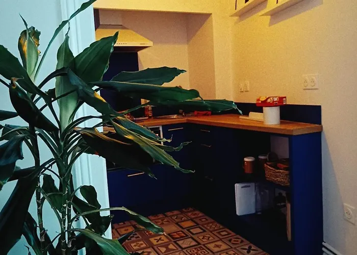 Cosy De Charme A * Carcassonne